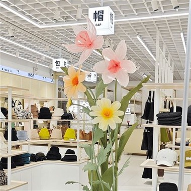 Šilko Narcissus derinys