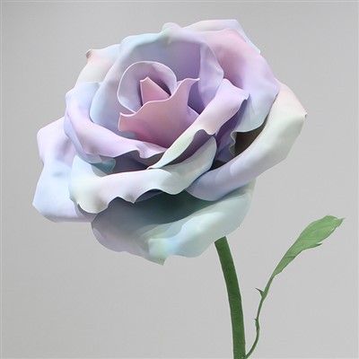 Lauko milžinė „Eva Rose“ dekoravimo rekvizitai