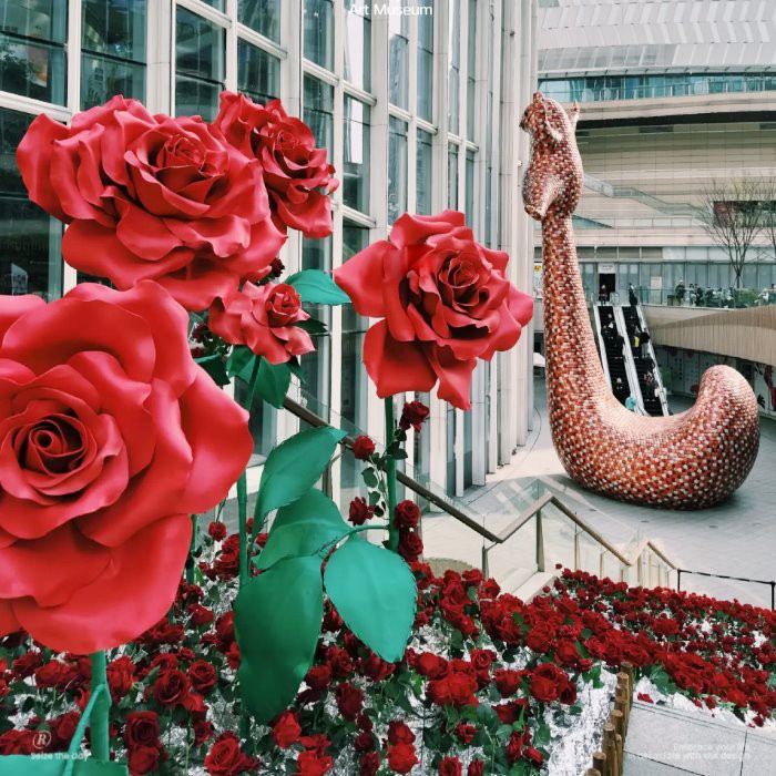 Valentino dienos gėlė