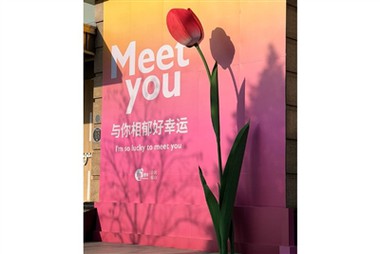 Negabaritinės popierinės gėlės